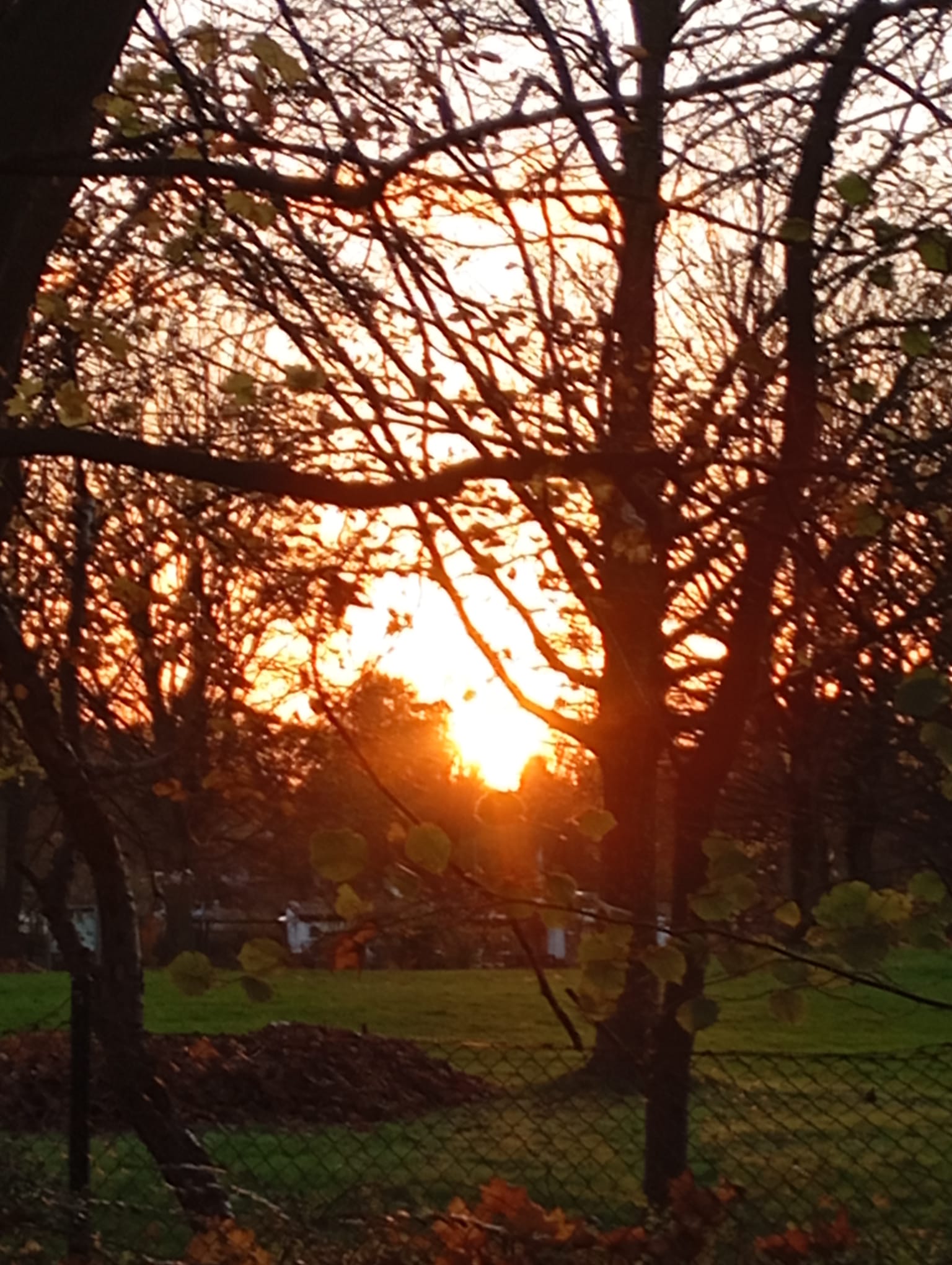 Wintersonnenwende - die Wintersonne geht unter