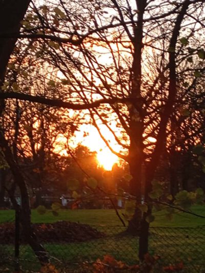 Wintersonnenwende - Die Wintersonne geht hinter Bäumen unter
